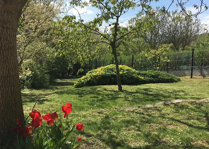 Iris Vendeghaz Tihany